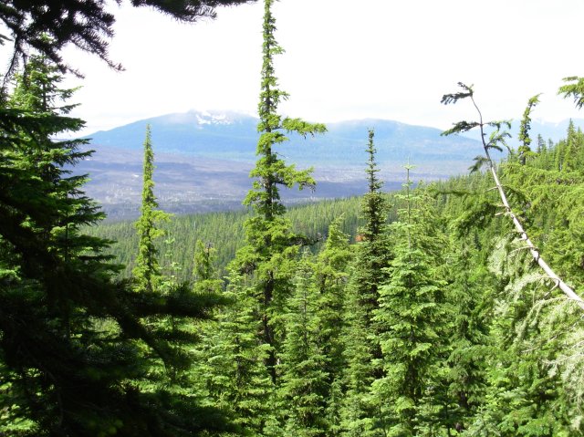 Summer '06 Sunriver 515 